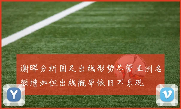 谢晖分析国足出线形势尽管亚洲名额增加但出线概率依旧不乐观